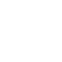 Bigshots